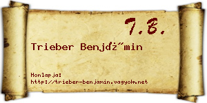 Trieber Benjámin névjegykártya